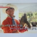 봉강별곡 이미지