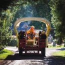 풍성한농장 이미지