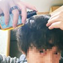 라바트헤어 | 남자 헤어에센스 블라세아 | 스페인 모로코 아르간 오일 얼굴 추천
