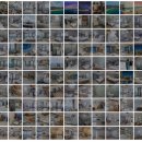 위너펜션 이미지