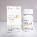 채움디