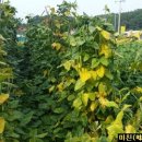 (주)퍼포먼스웨이컨설팅