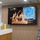 아이누리극장 | [공연운영] 2026년 아이누리극장 신년맞이 특별공연 <루루섬의 비밀> 운영과정