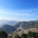 소나무 흑염소 목장 이미지