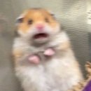 까페까멜리아 이미지