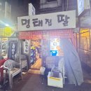 명태집딸 이미지