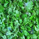 (주)질경이 이미지