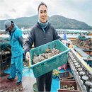 완도1호 이미지