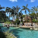 괌 두짓타니 괌리조트 - 마운틴뷰 킹 룸 후기 / 수영장 조식 타시그릴 티몬비치