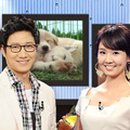 수선샵