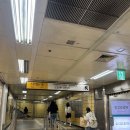 좋은하루2차 | 민생회복 소비쿠폰 1차와 2차 합산 사용 후기 구매꿀팁