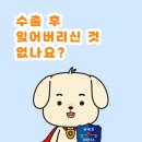 서울세관 이미지