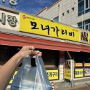 모녀가리비 이미지