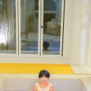 스테이미엔느 이미지