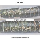 소정담 이미지
