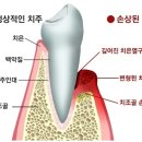 포유치과의원 이미지