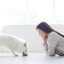 시장동물약국 이미지