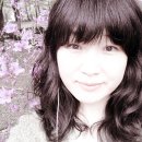 도심속에작은야생화 이미지