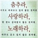 라투스 이미지