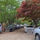 단전한우농장 | [안산 소고기 맛집] 언제나 실망시키지 않는 " 신도농장 "