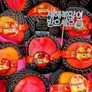 과일담 이미지