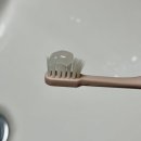 이편한덴탈랩 | 구강관리 시작 7세, 고불소 어린이치약 덴탈업 키즈 치약 사용 후기