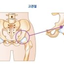 럭키 짐 이미지