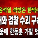 결국! 공수처 검찰 사실상 내전상태! 오동운 심우정 구속위기! 고래싸움에 한동훈 가발 벗겨진다! 헌제,尹대통령 석방 두고...빵시기TV 이미지