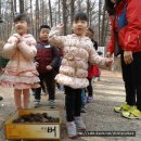 낭성어린이집 이미지