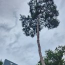 괴산바둑협회 이미지