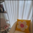 [강릉네일샵] 오랜만의 힐링! 아이 키우다 기분 전환하러 다녀온 강릉 네일스토리 찐 후기