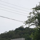 이디야커피칠곡왜관점 이미지