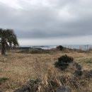 토산2리마을회관 이미지