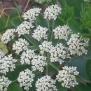 율이농장 이미지