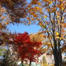 가현어린이공원 이미지