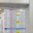 2025. 6. 7(토) 전남 신안군 1004 섬. 비금도~퍼플섬 1. 이미지