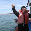 청산별곡 이미지