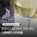 버블스타 | 홈플러스장터에서 핫한 가성비 와인, 스톤베이 스타버블 솔직후기