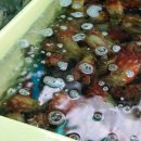 어등대로 이미지