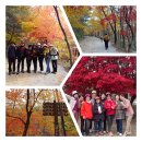 문경새재 옛길을 걸으며 이 시대의 선비가 되다 이미지