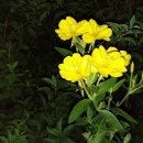 호수카센터 이미지