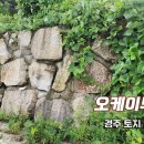 오케이부동산중개사무소 이미지