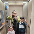 혼자 애 둘 데리고 후쿠오카 여행(셋째날/팀랩/보스이조VR체험/페이페이돔 야구장 필드체험 강추)