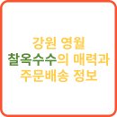 반송동033 | 강원 영월 찰옥수수의 매력과 주문배송 정보