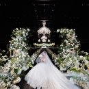 웨스턴베니비스 이미지