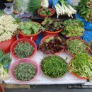 관촌약국 이미지