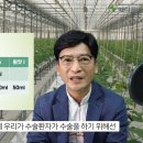 메디풀(Medipool) 이미지