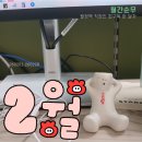 동대문네이버스 | 월정액 직장인 피구독 한 달차~~ 2월