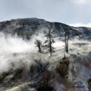 옐로우스톤 이미지