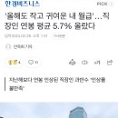 '올해도 작고 귀여운 내 월급'…직장인 연봉 평균 5.7% 올랐다 이미지